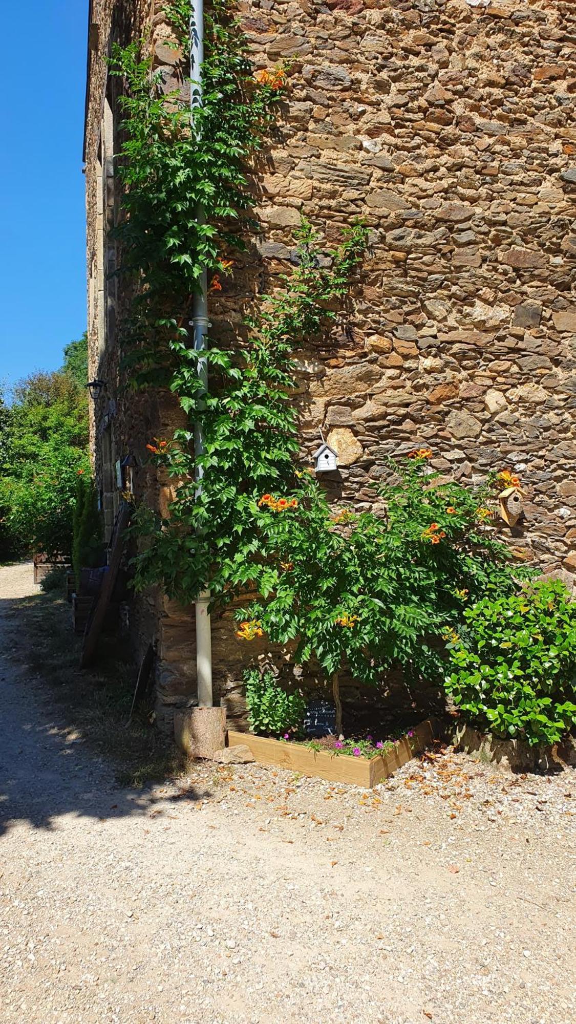 La Ferme des Andes - Gîte l'Atelier Quins Exterior foto