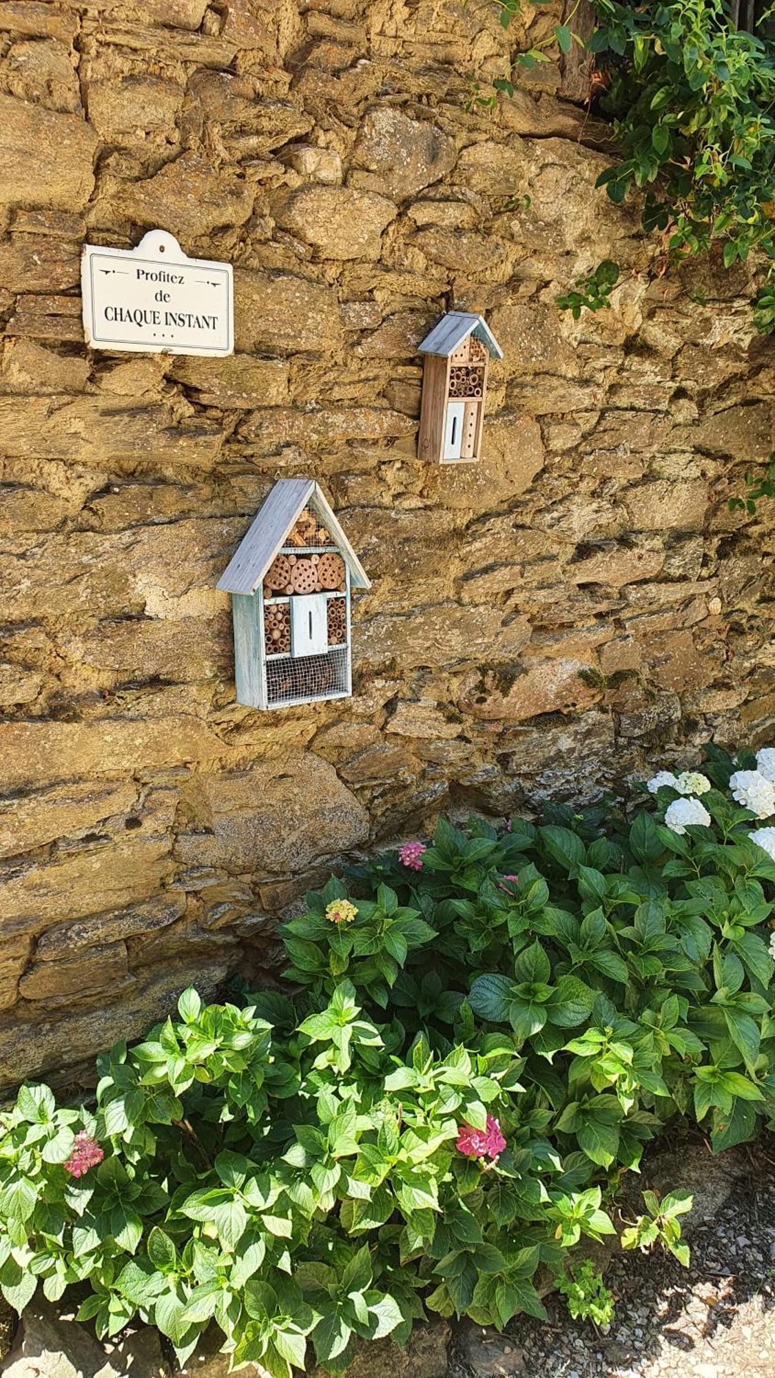 La Ferme des Andes - Gîte l'Atelier Quins Exterior foto