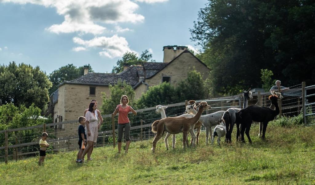 La Ferme des Andes - Gîte l'Atelier Quins Exterior foto