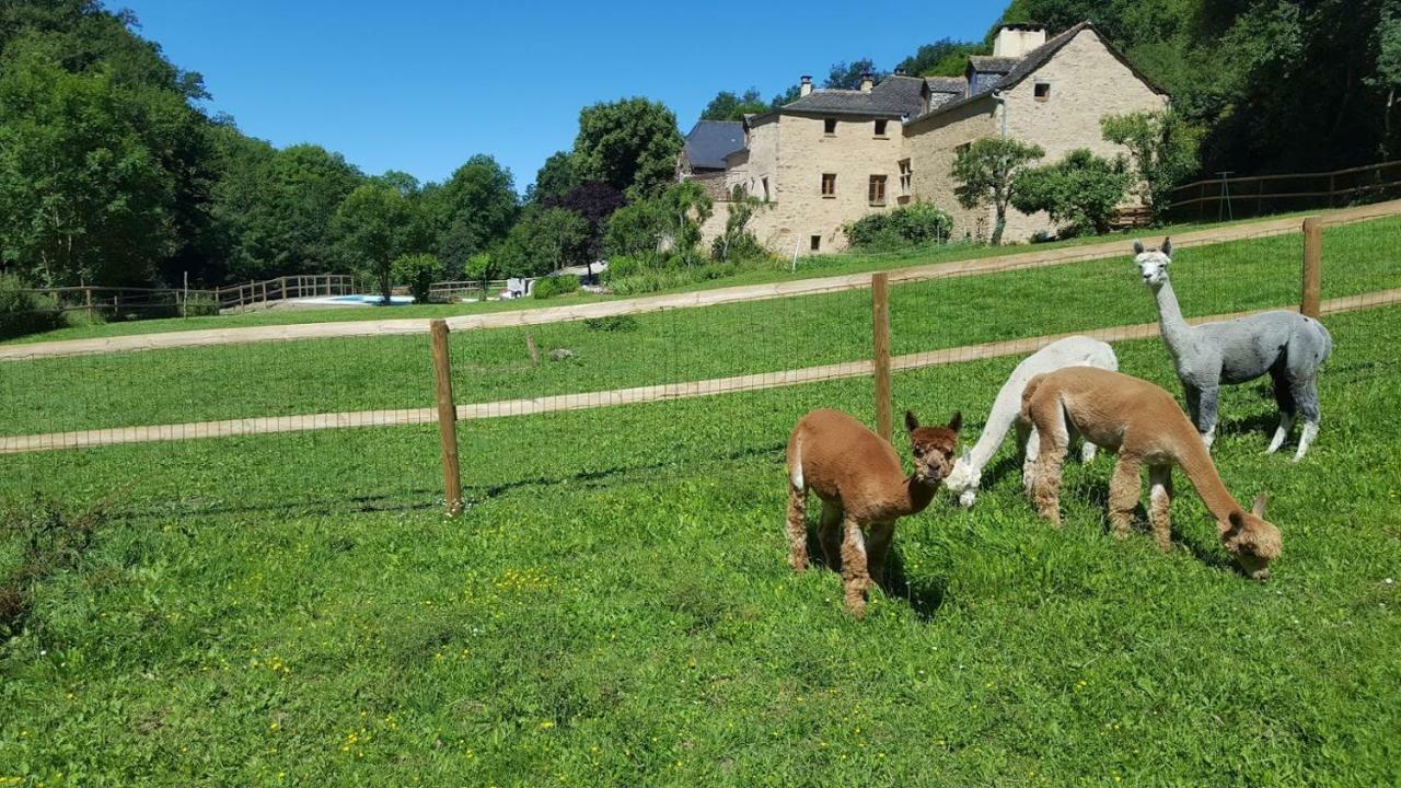 La Ferme des Andes - Gîte l'Atelier Quins Exterior foto