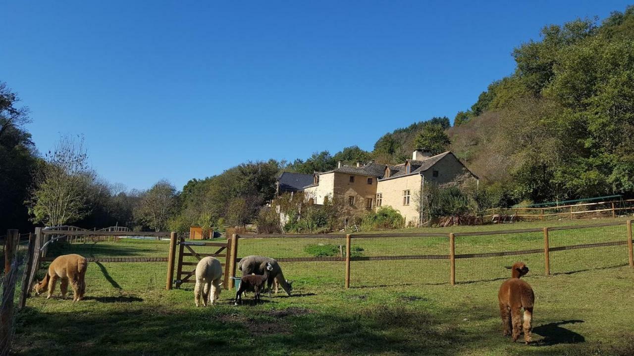 La Ferme des Andes - Gîte l'Atelier Quins Exterior foto